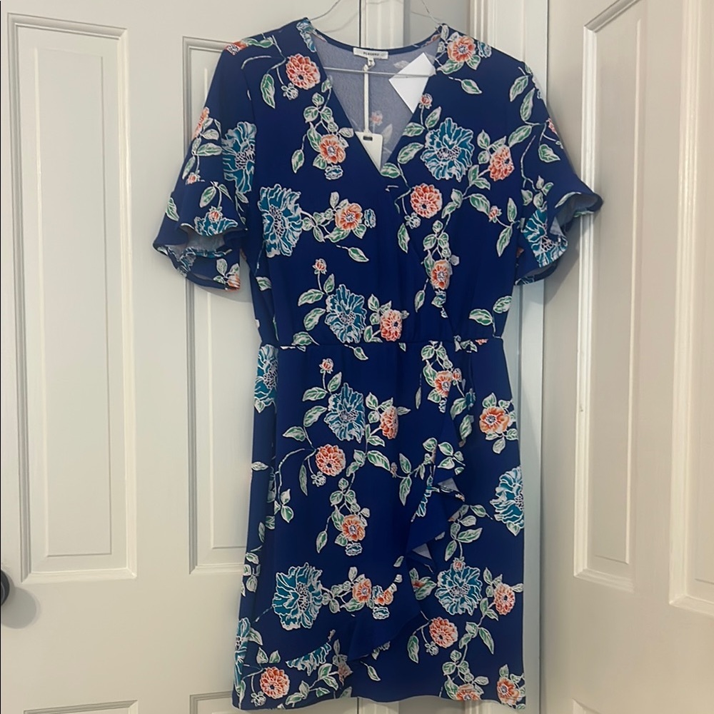 Pleione Blue and Pink Flutter Sleeve Sundress